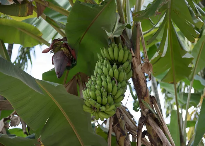 Kwatera prywatna Chansor 11 By Homesteading