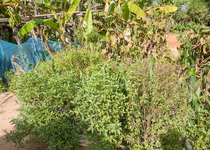 Kwatera prywatna Chansor 11 By Homesteading *