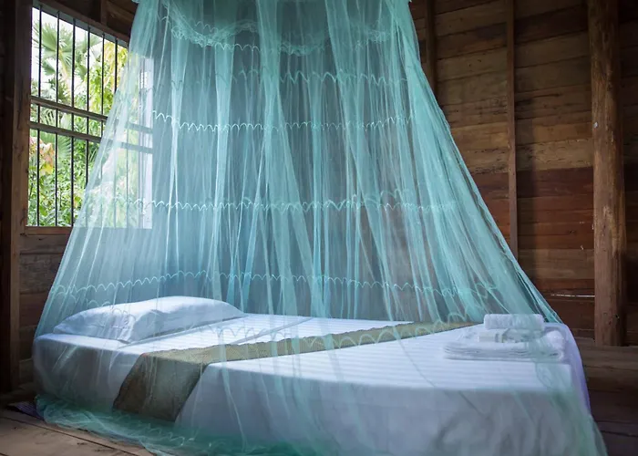 Chansor 11 By Homesteading Siem Reap